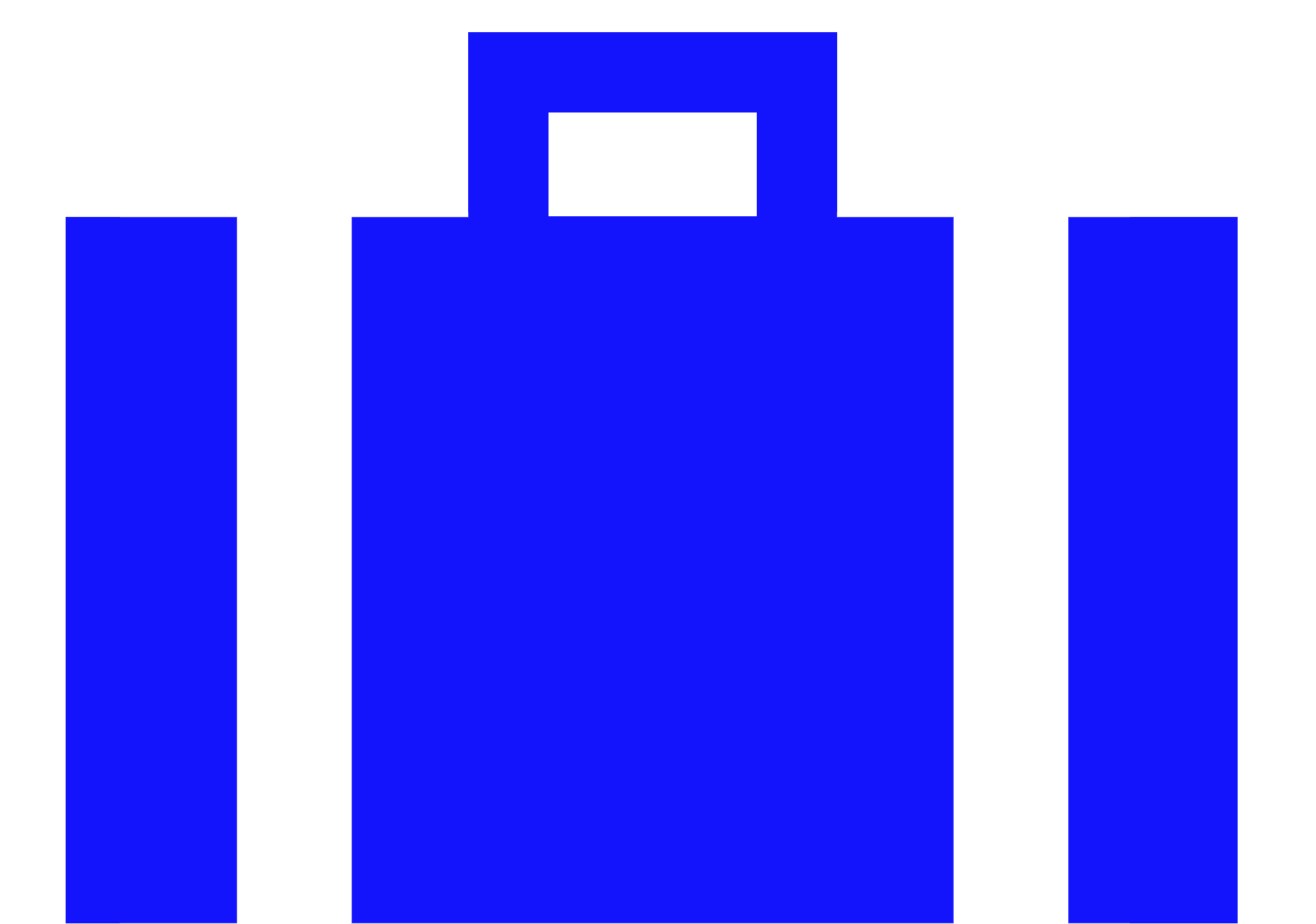 Bags Shed Logo